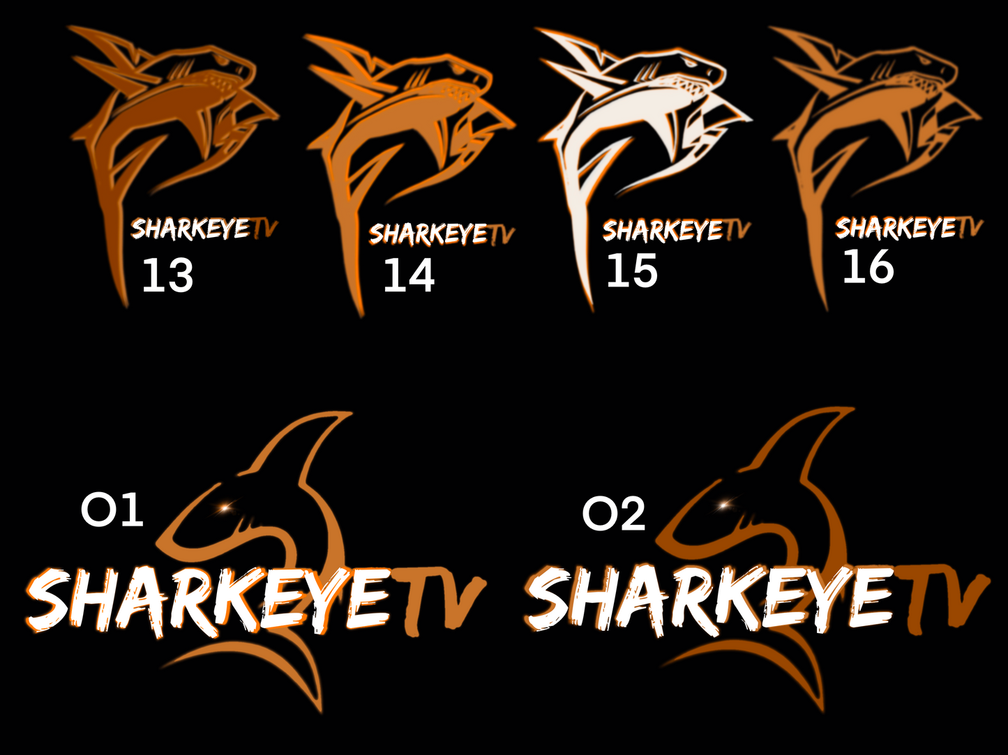 SHARKEYETV Custom Color Signature Logo Tee Shirt - Orange (UNISEX)
