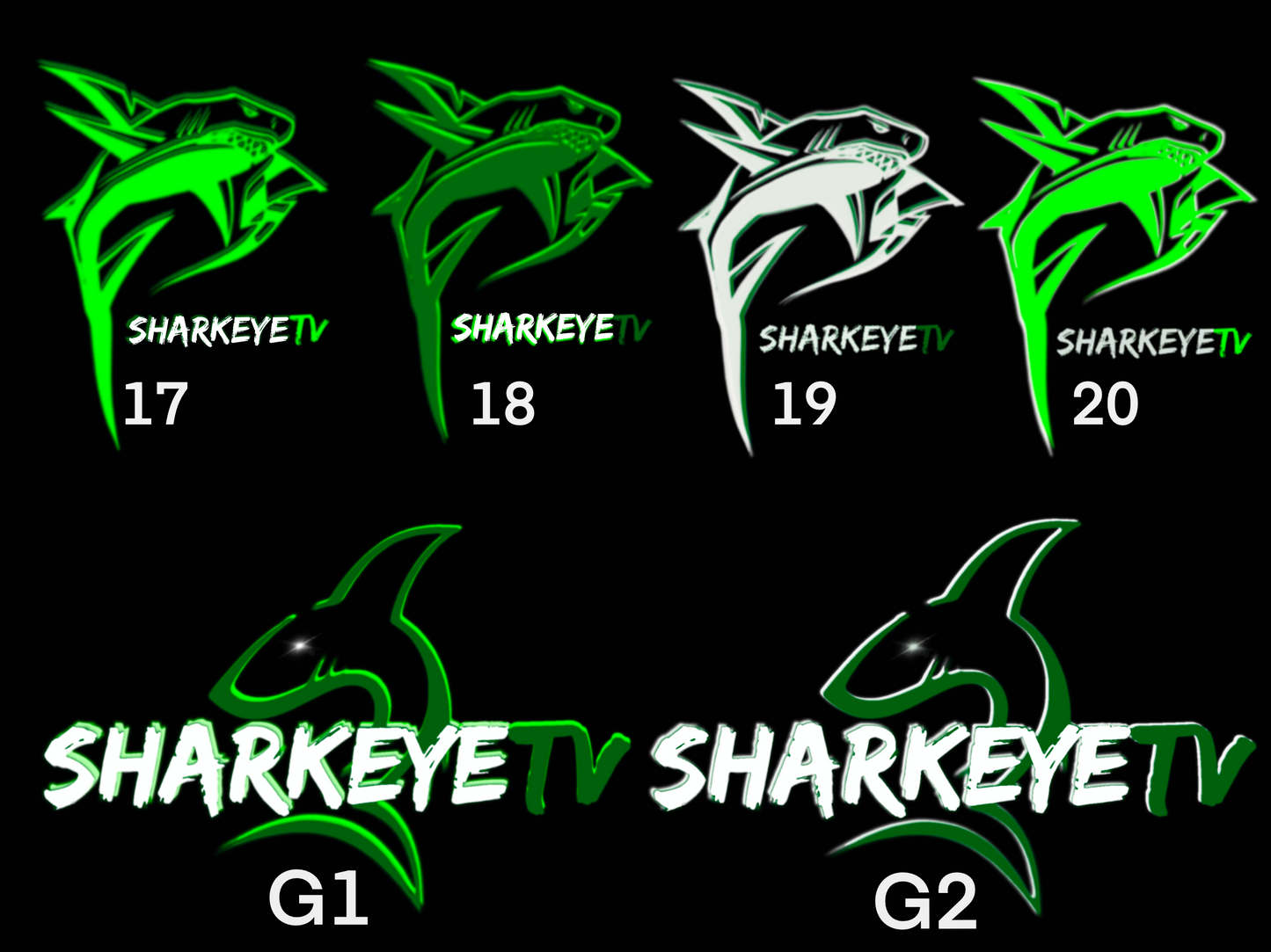 SHARKEYETV Custom Color Signature Logo Tee Shirt - Green (UNISEX)
