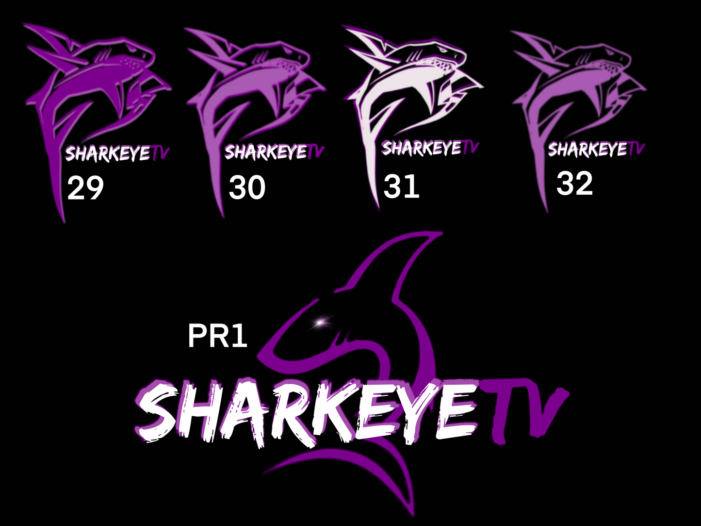 SHARKEYETV Custom Color Signature Logo Tee Shirt - Purple (UNISEX)